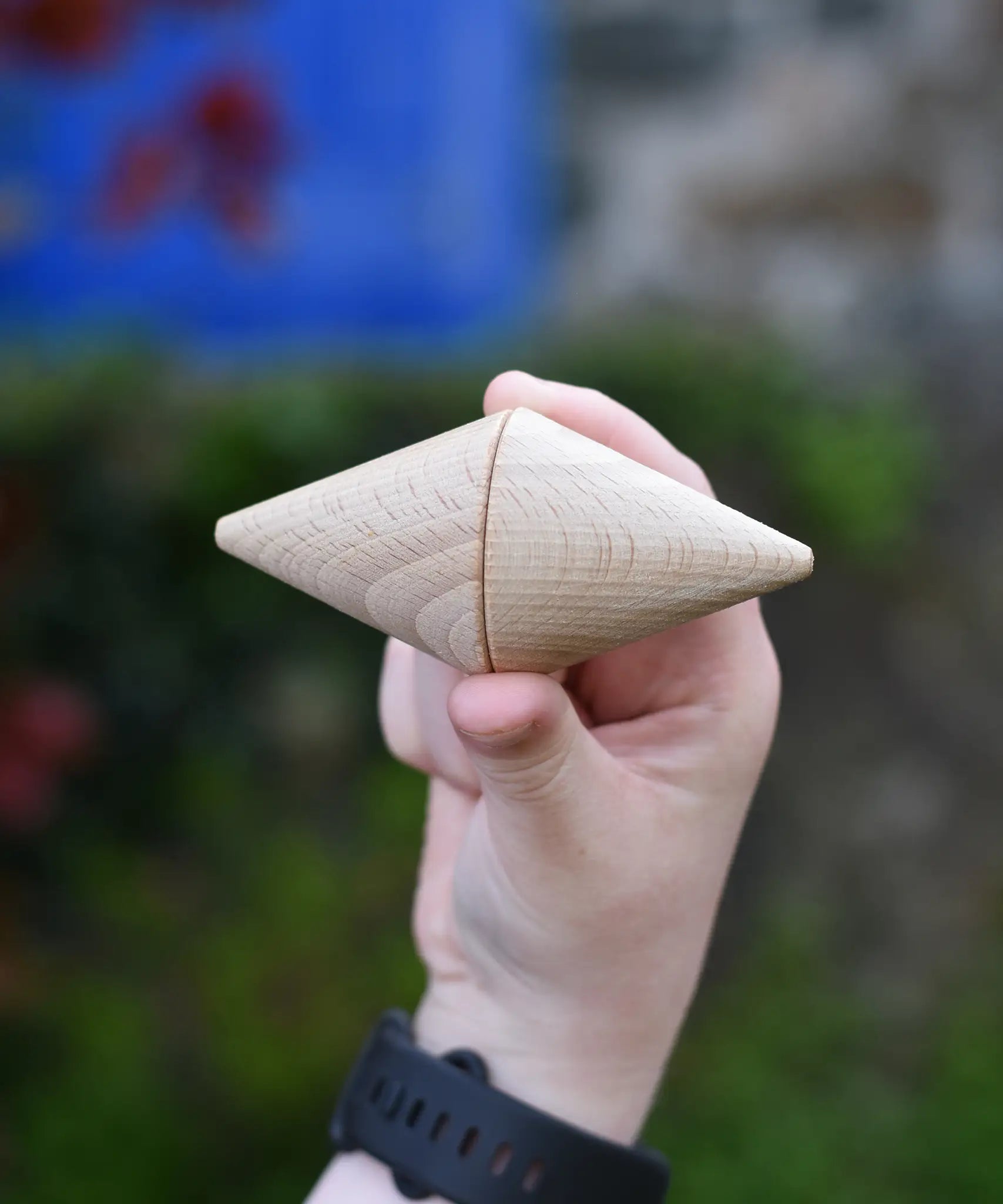 Two Grapat natural wooden cone in a child's hand. 