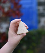 Grapat natural wooden cone in a child's hand. 