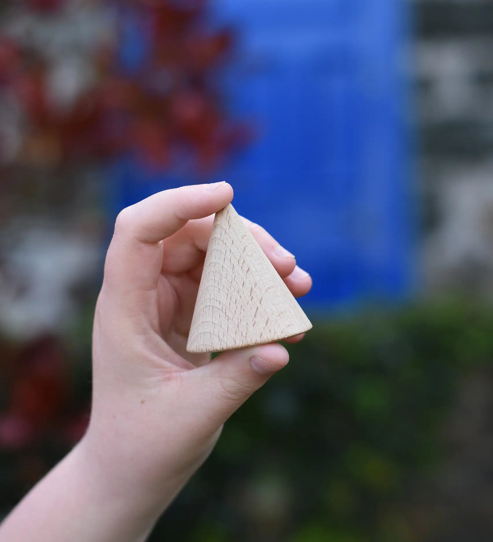 Grapat natural wooden cone in a child's hand. 