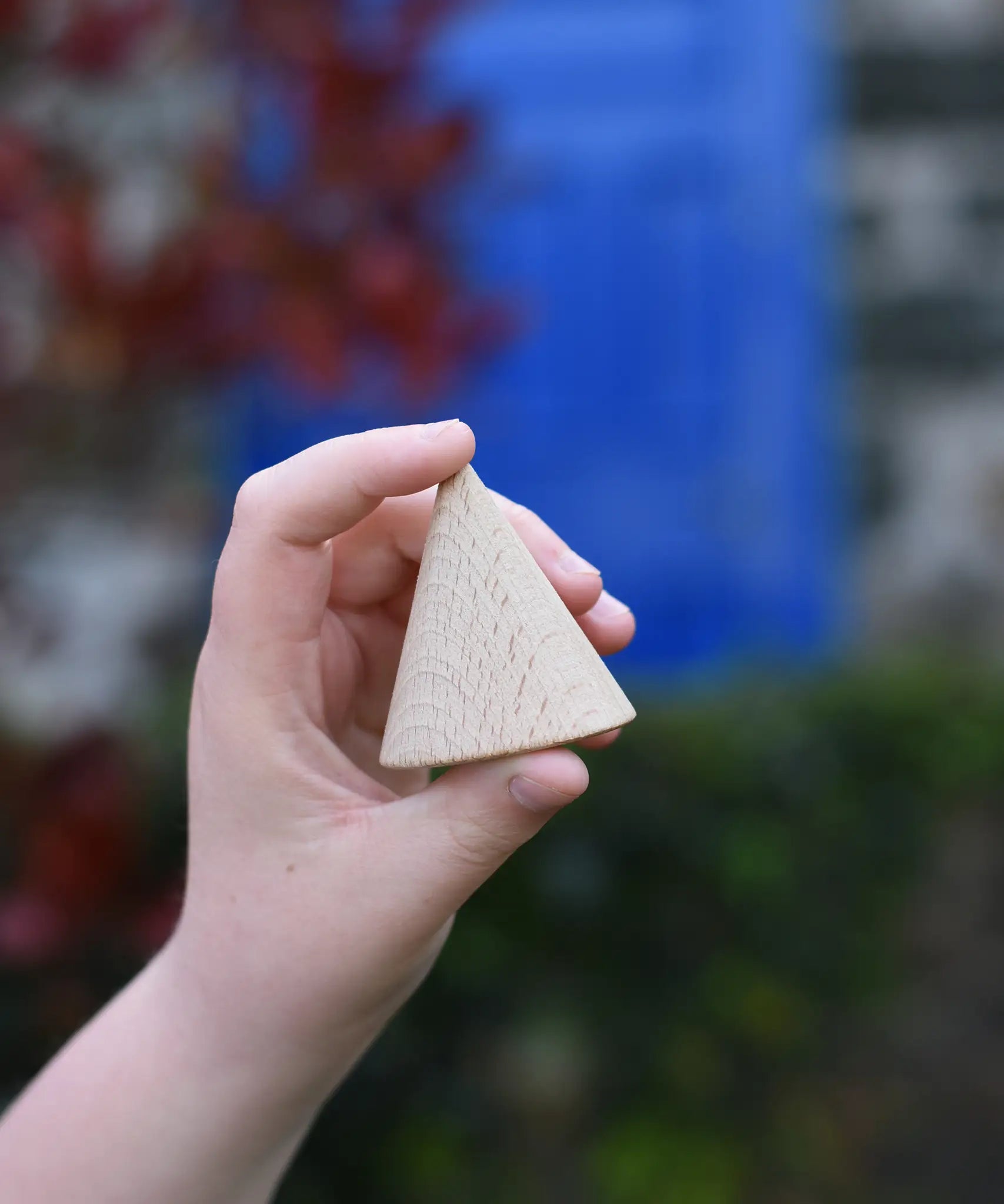 Grapat natural wooden cone in a child's hand. 