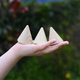 Three Grapat natural wooden cone in a child's hand. 