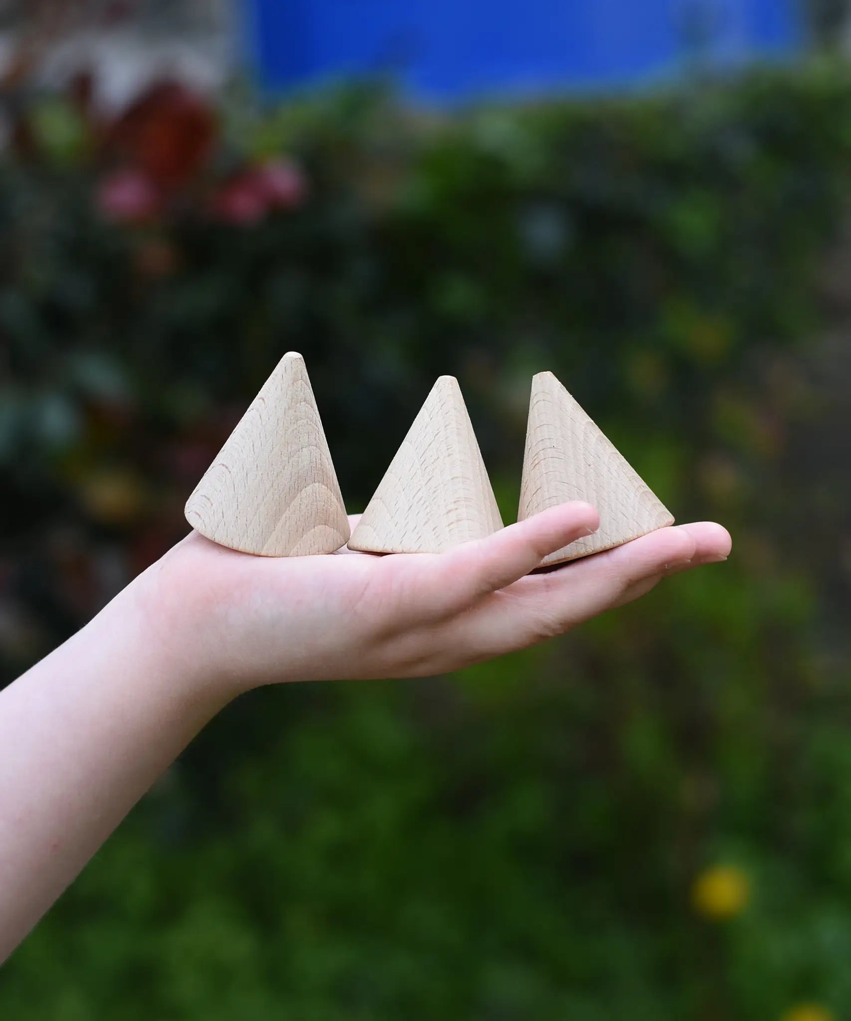 Three Grapat natural wooden cone in a child's hand. 