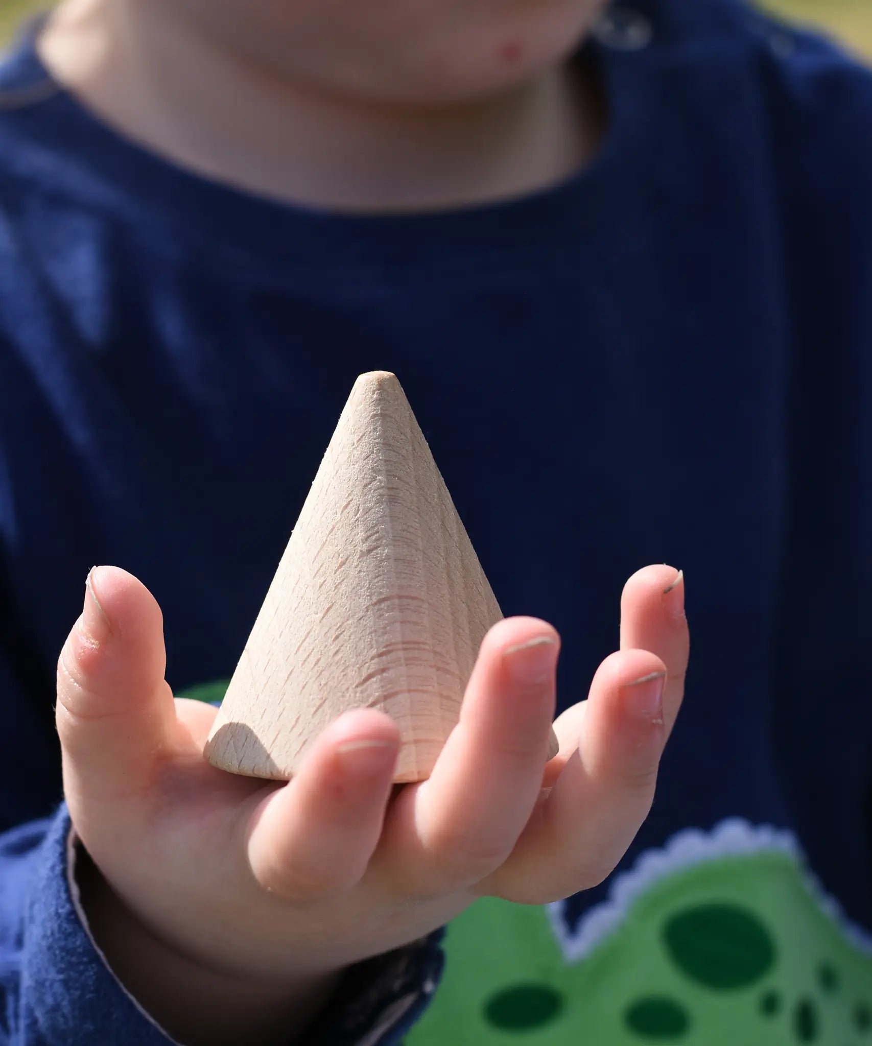 Grapat natural wooden cone in a child's hand. 