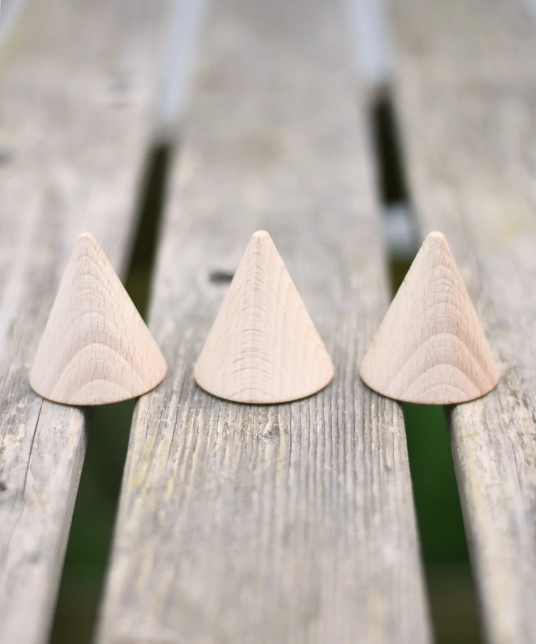 Three Grapat natural wooden cones placed on a wooden surface in the Babipur garden. 