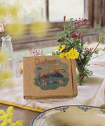 The box that the Grapat and Ostheimer collaboration  Handmade Seasonal Play Set Hello Spring comes in. The box is on a dining table.