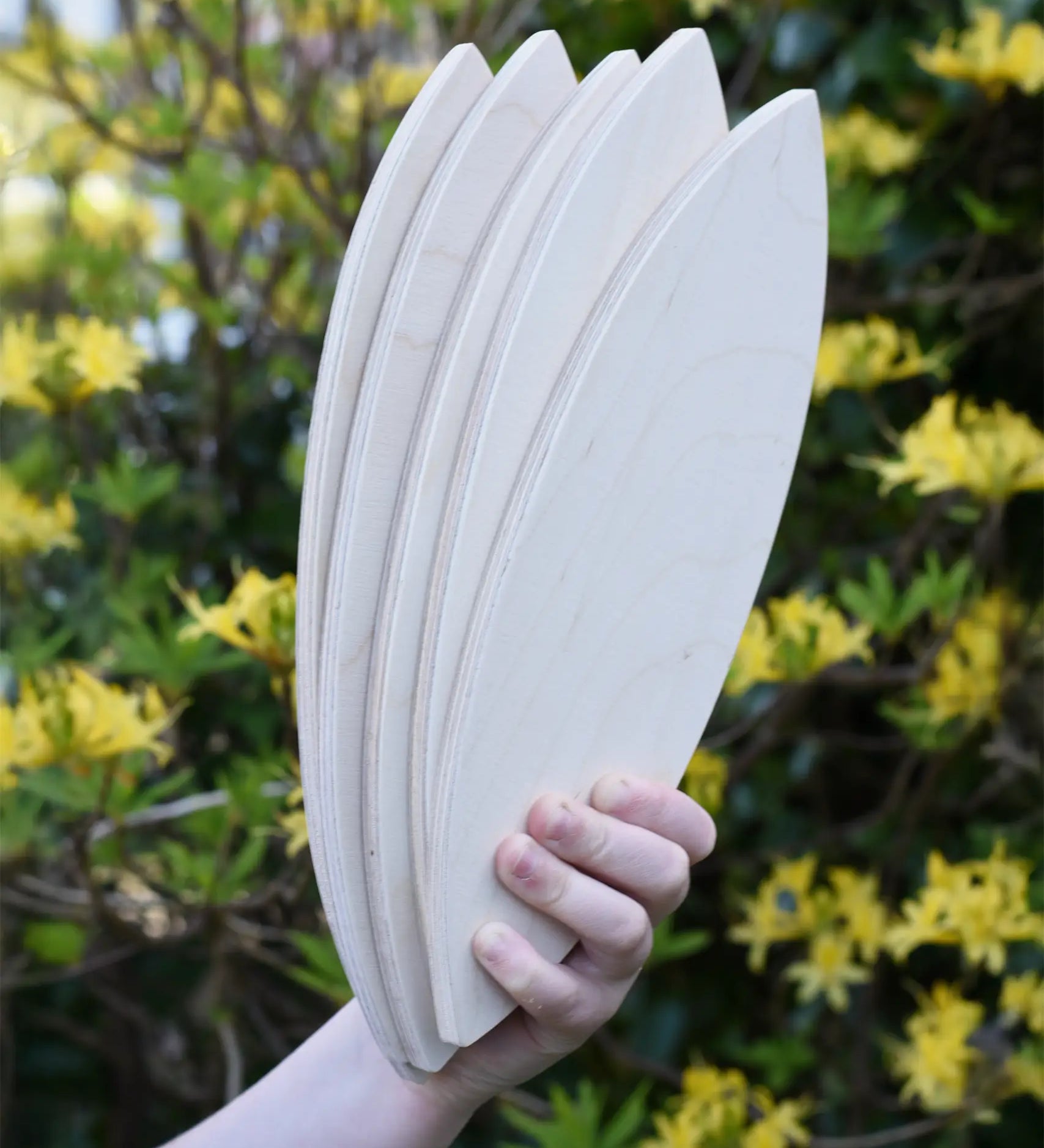 Five Grapat petals platform in a child's hans.