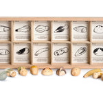 Grapat eco-friendly wild wooden creatures toy set laid out on a white background in front of their wooden box