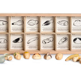 Grapat eco-friendly wild wooden creatures toy set laid out on a white background in front of their wooden box