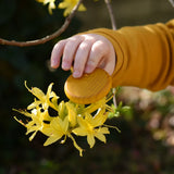 Yellow Grapat rainbow coin in a child's hand. 