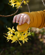 Yellow Grapat rainbow coin in a child's hand. 