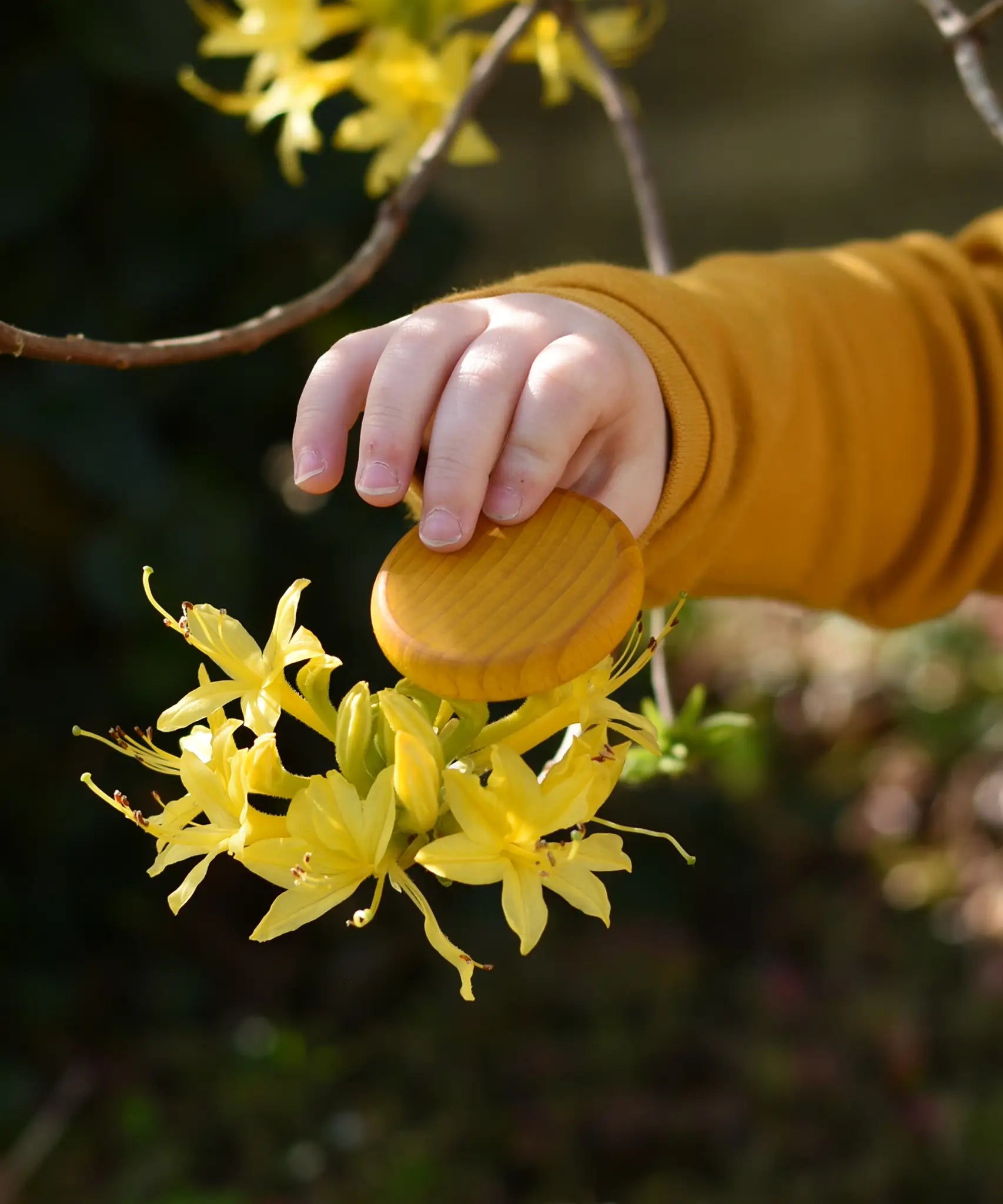 Yellow Grapat rainbow coin in a child's hand. 