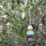 A purple and blue snow buddy wooden Grapat decoration handing on a tree