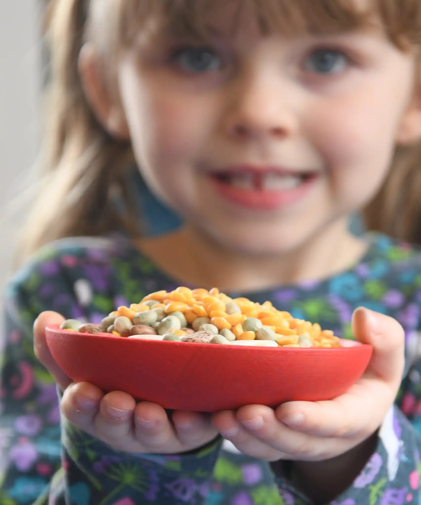 Child holding  red dish from the Grapat sorting pot set in their hands. The dish is filled with dried pulses. 