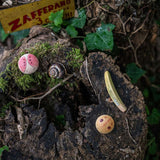 Grapat eco-friendly wooden childrens wild insect toys laid out on a tree stump next to a brown snail