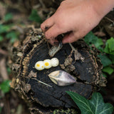 A child's hand holding a bug next to two pieces from the Grapat wooden wild creatures set. Grapat have a wide range of wooden toys and loose parts available at Babipur. 