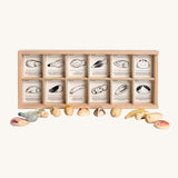 Grapat 12 Wild Wooden Creatures Set. These wooden creatures are handpainted and come with a wooden storage tray. Grapat have a wide range of wooden toys and loose parts available at Babipur. 