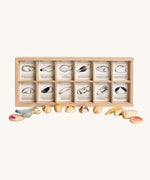 Grapat 12 Wild Wooden Creatures Set. These wooden creatures are handpainted and come with a wooden storage tray. Grapat have a wide range of wooden toys and loose parts available at Babipur. 