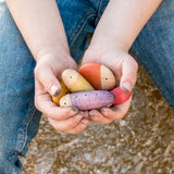 Child holding a bunch of different Grapat wooden insect pieces 