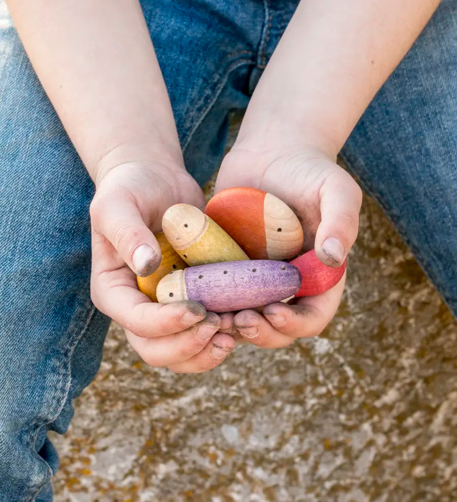 Child holding a bunch of different Grapat wooden insect pieces 