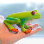Close up of hand holding the green rubber toys eco-friendly and plastic free red eye tree frog figure