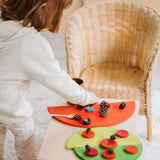 Child playing a sorting game using Grimms wooden semi circles, buttons and pine cones. 