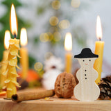 A lovely Winter display using a Grimm's Waldorf Celebration Ring, Grimm's decorative figures and Grimm's Candles available at Babipur.