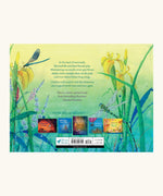 Back of  In The Land Of Mermaids children's book by Daniela Drescher showing illustrations of dragonflies and flowers