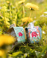 Close up of Kabloom x Babipur 'B is for Buzz' and 'Babipur Garden' natural Seedbom pollinator in a bunch of daffodils