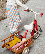 Child pulling a bicycle with a trailer holding Kathe Kruse saffron doll and a pink waldorf doll 