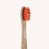 Georganics Beechwood Kids Toothbrush - Soft Bristles