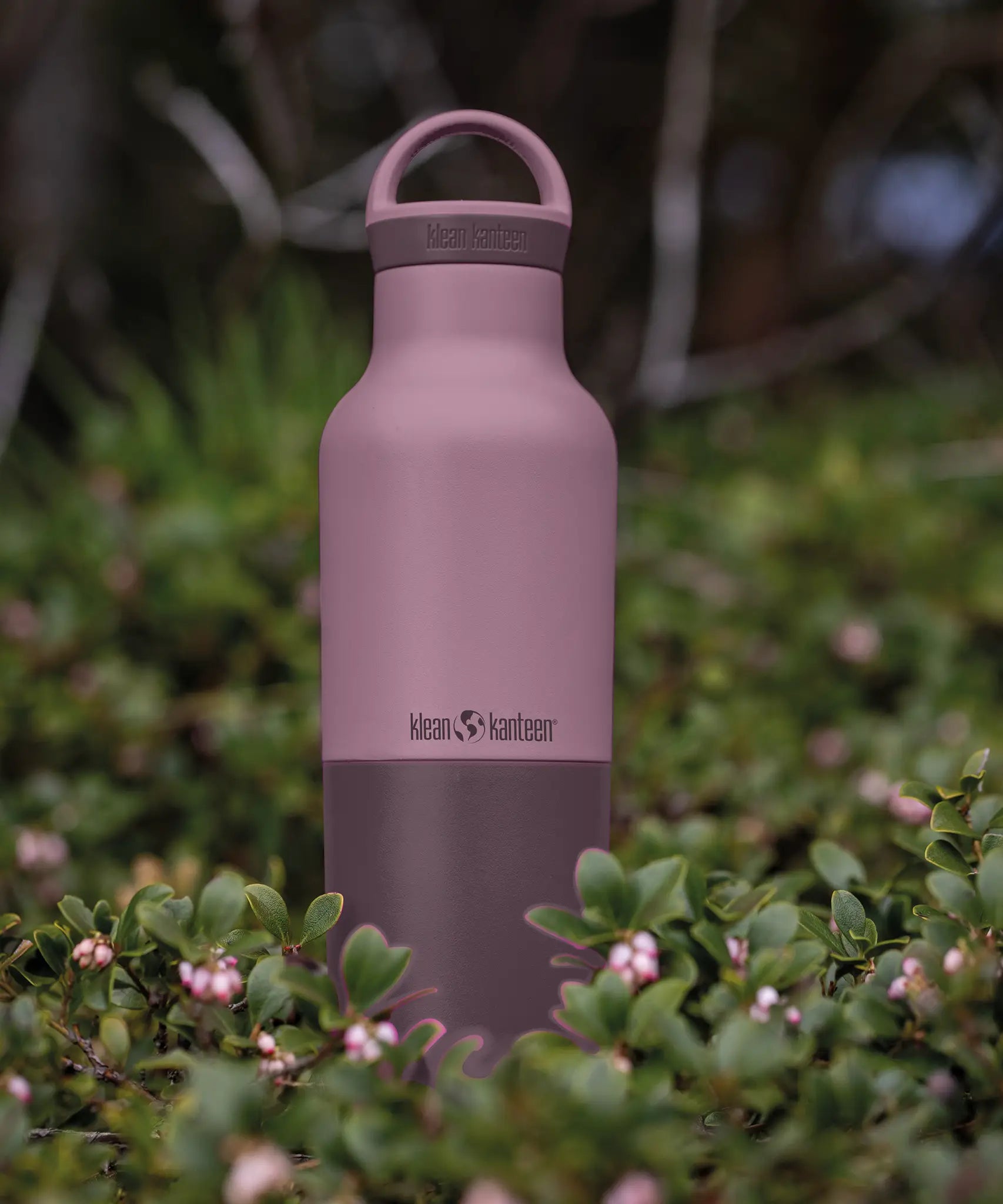 Klean Kanteen 20oz dusty orchid stainless steel  insulated classic bottle on a bed of flowers