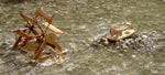 Kraul Wooden River Wheel being used in a river