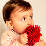 Close up of young child holding the Lanco natural rubber red hedgehog toy to their mouth