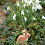 Lanka Kade brown bunny rabbit wooden toy figure placed on grass in front of a bunch of snowdrops. 