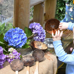 The Lanka Kade coconut shell water playset placed in a mud kitchen. There is a child playing with a coconut shell bowl, placing and lifting it out of a metal bowl that has been filled with water. 