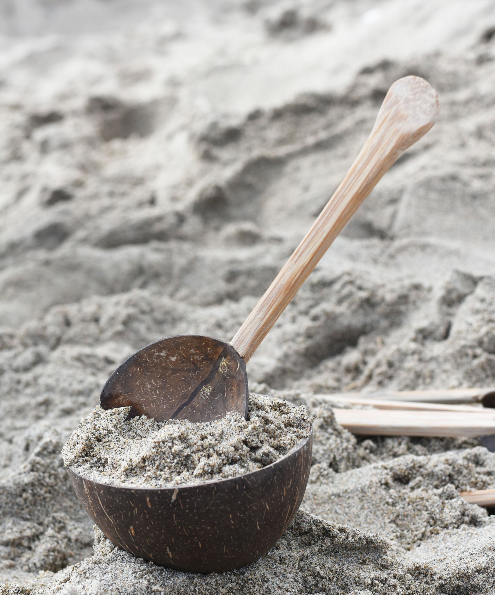 A rake utensil placed in a coconut bowl filled with sand on a beach. Other coconut utensils from the Lanka Kade coconut range can be seen in the background.