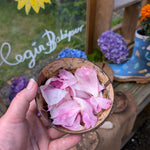 A close up of an adult's hand holding up a coconut shell bowl that has been filled with pink peony petals. A mud kitchen can be seen in the background. Babipur is proud to be an official stockist of Lanka Kade and these coconut shell playsets are a welcome addition to our collection of outdoor toys. 