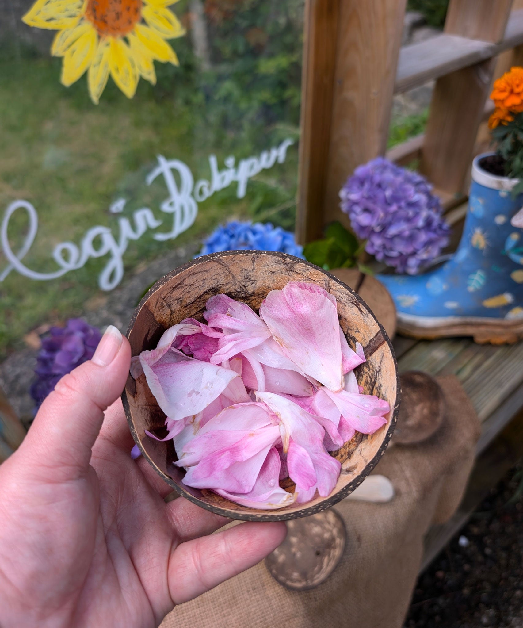 A close up of an adult's hand holding up a coconut shell bowl that has been filled with pink peony petals. A mud kitchen can be seen in the background. Babipur is proud to be an official stockist of Lanka Kade and these coconut shell playsets are a welcome addition to our collection of outdoor toys. 