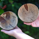 Two coconut shell bowls in a child's hand. One bowl has holes in it to allow for water or sand to flow through. 