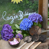 The Lanka Kade Coconut Shell Water Playset laid out on the surface of a mud kitchen outdoors. Blue and purple coloured hydrangeas have been placed behind them and the words 'Cegin Babipur' which is welsh for Babipur Kitchen written with Kitpas crayons on a perspex board behind them. 
