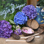 The Lanka Kade Coconut Shell Water Playset laid out on jute placed on the surface of a mud kitchen outdoors. Blue and purple coloured hydrangeas have been placed behind them and the words 'Cegin Babipur' which is welsh for Babipur Kitchen written with Kitpas crayons on a perspex board behind them. There is an old Frugi wellington in the back which has been repurposed as  plant pot with an orange coloured marigold flower in it.
