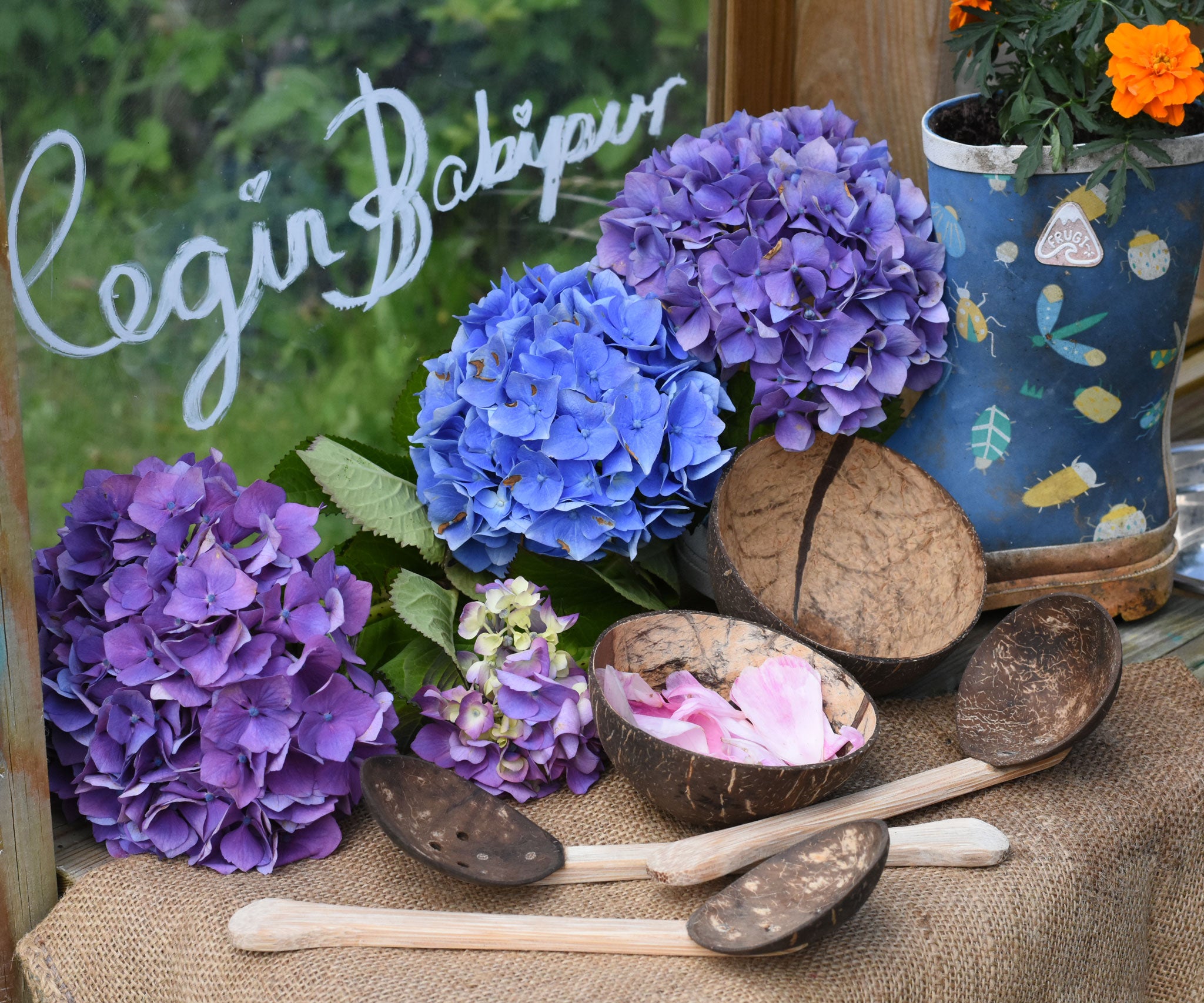 The Lanka Kade Coconut Shell Water Playset laid out on jute placed on the surface of a mud kitchen outdoors. Blue and purple coloured hydrangeas have been placed behind them and the words 'Cegin Babipur' which is welsh for Babipur Kitchen written with Kitpas crayons on a perspex board behind them. There is an old Frugi wellington in the back which has been repurposed as  plant pot with an orange coloured marigold flower in it.