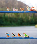 Lanka Kade Wooden Birds lined up in two rows. On the top (left to right) is the pigeon