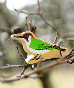 with painted green feather
