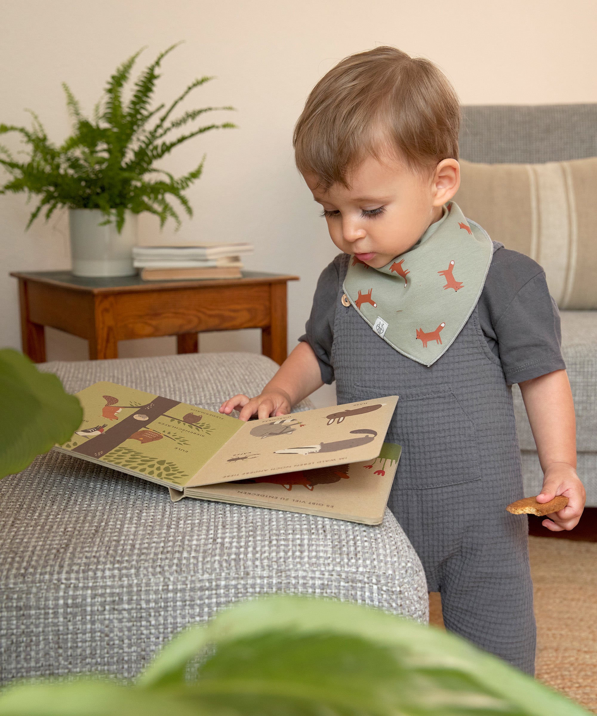 A toddler wearing the Lassig organic cotton baby bib in a Little Fox print, and reading a book. 