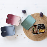 A collection of three Lassig Stainless Steel Lunchbox. A Unique Olive Green colour shown with the lid off and filled with food and a berry rose pink and a dark blue colour box with lids on. 