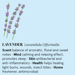 Infographic showing the main benefits of Lavender essential oil.