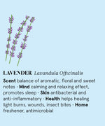 Infographic showing the main benefits of Lavender essential oil.