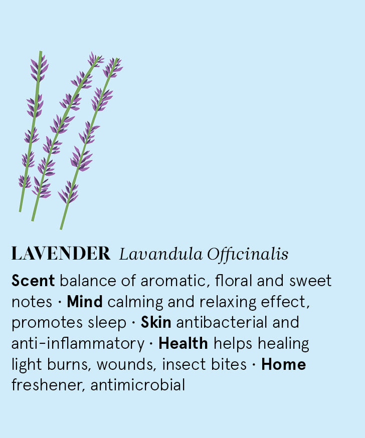 Infographic showing the main benefits of Lavender essential oil.