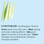 Infographic showing the main benefits of Lemongrass essential oil.